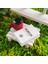 Kişiye Özel Cute Serisi Buxus Bonsai Avukatlar Için 1 3