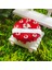 Kişiye Özel Cute Serisi Buxus Bonsai Happy Birthday 1 3