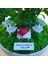 Kişiye Özel Cute Serisi Buxus Bonsai The Book Of Love 1