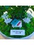Kişiye Özel Cute Serisi Buxus Bonsai Fen Bilgisi Öğretmenim Için 1