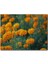 Cakapuzzle Sarı Karanfiller Görseli 255 Parça Puzzle Yapboz Mdf (Ahşap) 1