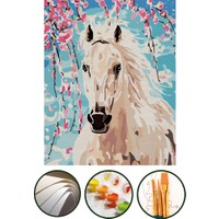 Sayılarla Boyama Hobi Seti 40x50 CM - Beyaz At