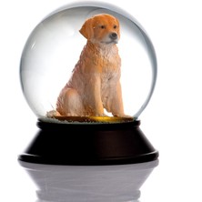 Snoowg Cam ve Reçine Altın Patiler Golden Retriever Kar Küresi