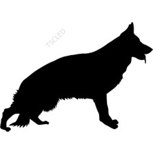 Tsc Aalman Çoban Köpeği Araba Sticker 20 cm