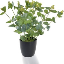 Nettenevime Yapay Çiçek Okaliptus Siyah Plastik Saksılı Dekoratif Süs Çiçeği