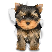 Tsc Sevimli Kahverengi Yorkie Araba Sticker Yapıştırma 20 cm