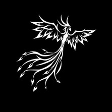 Tsc Phoenix Kuş Araba Sticker Yapıştırması 19 cm Beyaz Renk