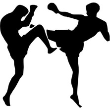 Tsc Kickboxers Komik Araba Sticker Yapıştırması 20 cm