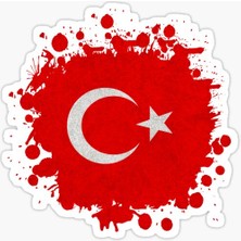 Tsc Kan ve Türk Bayrağı Sticker Yapıştırma Oto Araba Etiket 20 cm