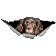 Tsc Kahverengi Cocker Spaniel Cinsi Köpek Sicker Yapıştırma 20 cm