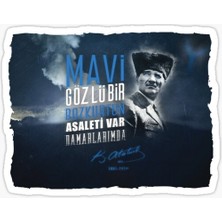 Tsc Atatürk Renkli Sticer Yapıştırma 20  cm