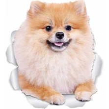 Tsc Pomeranian Köpek Araba Styling Etiket Yapıştırma 18 cm
