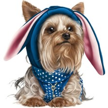 Tsc Yorkshire Terrier Köpek Araba Sticker 18 cm Etiket
