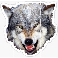 Tsc Öfkeli Kızgın Kurt Araba Sticker Oto Yapıştırması 18 cm Model 11