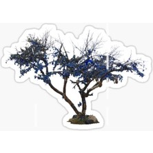 Tsc Nazar Sticker Yapıştırma Etiket Leptop Araba Cam MD24 18 cm
