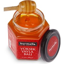 Burmella Özel Seçim Yüksek Yayla Balı 500 gr