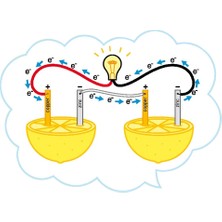 Hellove Limon Deney Seti Limondan Elektrik Üretimi Yapım Seti Limon Pili