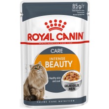 Royal Canin Fhn Intense Beauty Jelly  Yetişkin Kedi Maması 12 x 85G