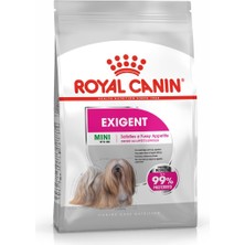 Royal Canin Ccn Mını Exıgent Yetişkin Köpek Maması 3 kg