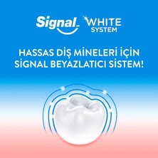Signal Diş Macunu White System 2 Haftada Daha Beyaz Dişler 75 ml