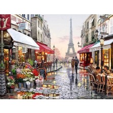 Womb Hobby Paris Sayılarla Boyama Seti 60X75 cm (Tuvale Gerili)