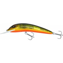 ef&fe Maket Balık Japanese Iruka