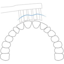Mijia T100 Elektrikli Diş Fırçasıiçin 3 Adet Diş Fırçası Başlığı (Yurt Dışından)