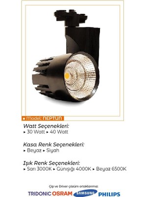 SekaTech 40 Watt Siyah Kasa Sıcak Beyaz 4000 K Led Ray Spot EV Ofis Mağaza Vİtrin