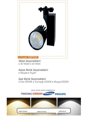 SekaTech 40 Watt Siyah Kasa Sıcak Beyaz 4000 K Led Ray Spot EV Ofis Mağaza Vİtrin