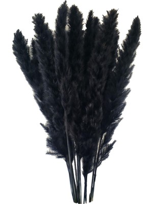 15 Adet Kurutulmuş Pampas Çim Reed Çiçek Demet Ev Düğün Dekorasyon Hediyeler Siyah
