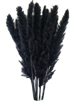 15 Adet Kurutulmuş Pampas Çim Reed Çiçek Demet Ev Düğün Dekorasyon Hediyeler Siyah