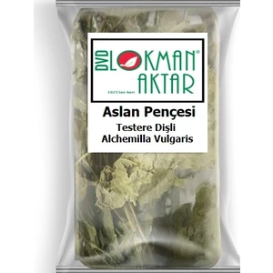 Lokman Aktar Aslan Pençesi Testere Dişli 50 gr