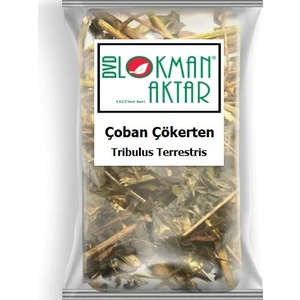 Lokman Aktar Çoban Çökerten 500 gr