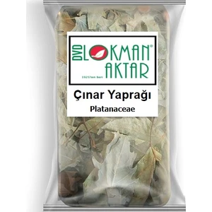 Lokman Aktar Çınar Yaprağı 500 gr