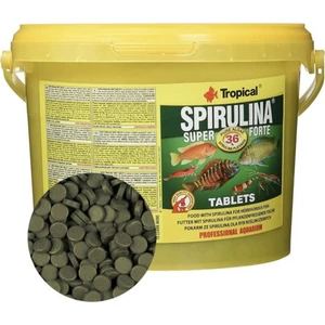 Super Spirulina Forte Tablets 500 Adet