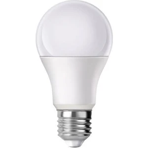 LED Ampul 12 Volt 10 Watt Bolled