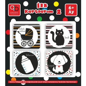 Q Bebek İlk Kartlarım 2
