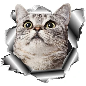 Tsc Sevimli Kedi Araba Sticker Yapıştırması 20 cm