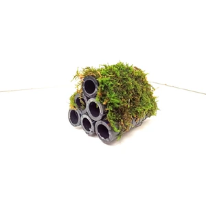Canlı Petshop Moss "tüpe Tutturulmuş Karides Yuvası ve Üretim Tüpü 6 Lı" 1 Ad 10 cm