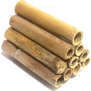 Canlı Petshop 10 ' Lu Uretim Kamışı (10 Cm)
