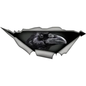 Tsc Karga Sticker Yapıştırması 20  cm