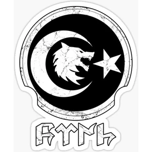 Tsc Göktürkçe Kurt Ay ve Hilal 20  cm Araba Oto Sticker Siyah