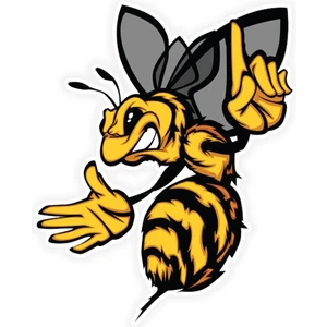 Tsc Kızgın Arı Renkli Karikatür Araba Sticker 18 cm