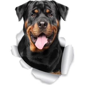 Tsc Rottweiler Köpek Araba Sticker 18 cm Etiket Yapıştırma