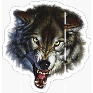 Tsc Öfkeli Kızgın Kurt Araba Sticker Oto Yapıştırması 18 cm Model 14