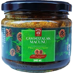 Dr. Floya Çam Kozalak Macunu 300 ml