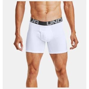 Under Armour Erkek Charged Cotton® 6" Boxerjock® – 3'lü Paket 1363617-100