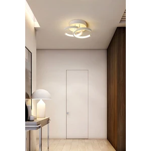 Ömür Avize Holled Hol Koridor Giriş Için Modern Ledli Avize