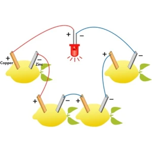 Limon Deney Seti Limondan Elektrik Üretimi Yapım Seti Limon Pili