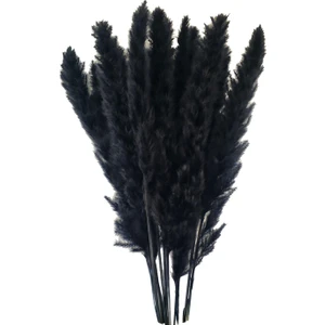 15 Adet Kurutulmuş Pampas Çim Reed Çiçek Demet Ev Düğün Dekorasyon Hediyeler Siyah